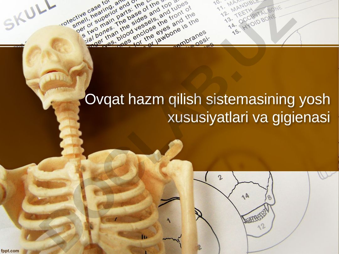 Ovqat hazm qilish sistemasining yosh xususiyatlari va gigienasi