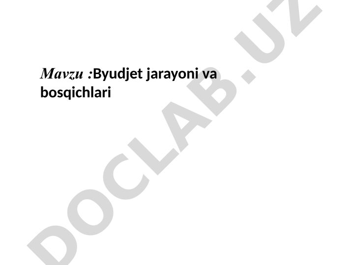 Byudjet jarayoni va bosqichlari