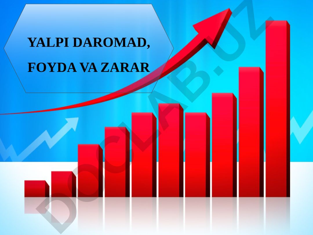 Yalpi daromad, foyda va zarar tushunchalari