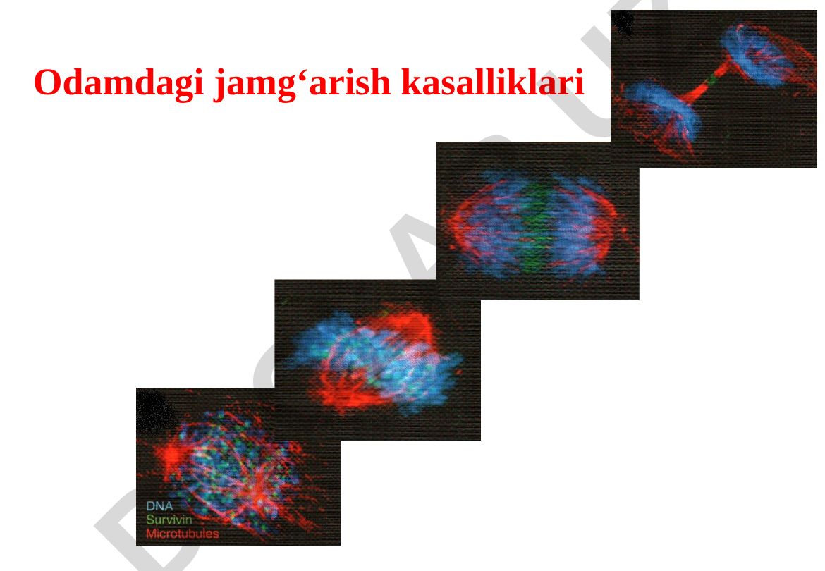 Odamdagi jamg‘arish kasalliklari