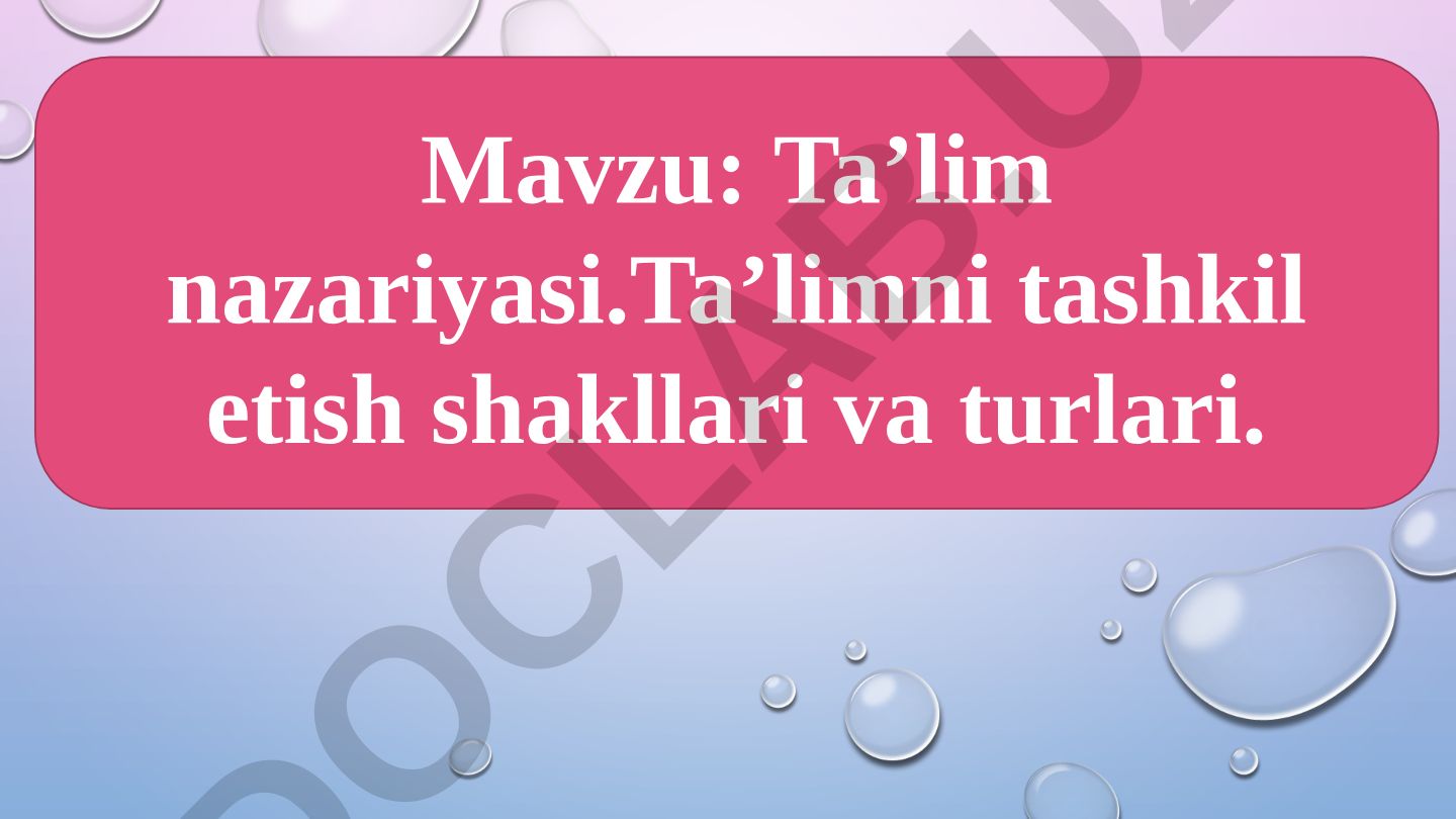 Ta’lim nazariyasi. Ta’limni tashkil etish shakllari va turlari