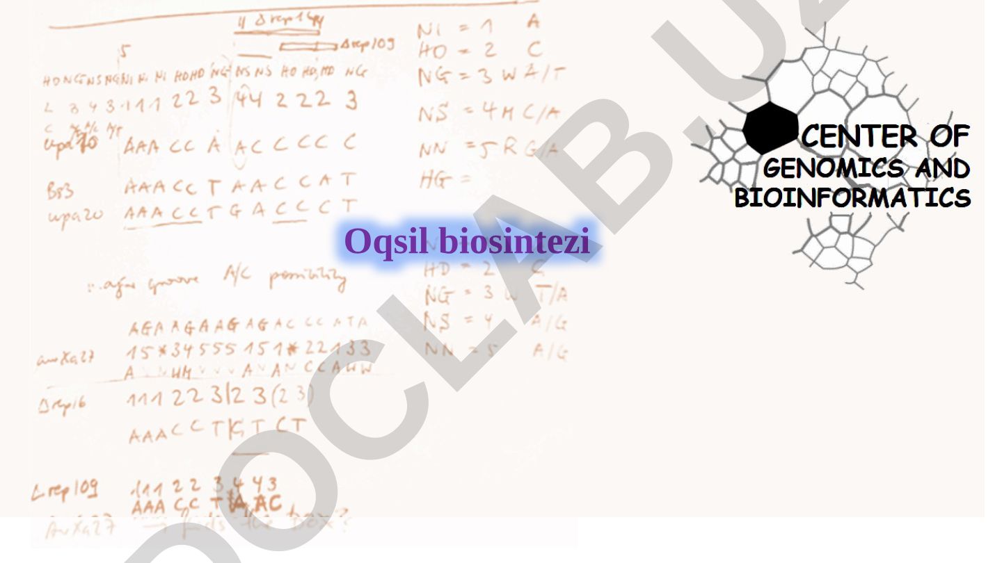 Oqsil biosintezi: Transkriptsiya va translyatsiya jarayonlari