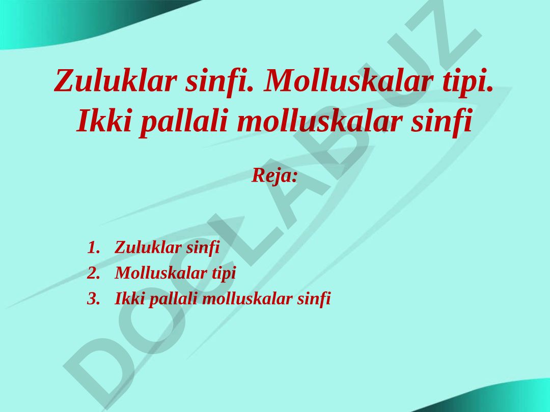 Zuluklar sinfi va ikki pallali molluskalar