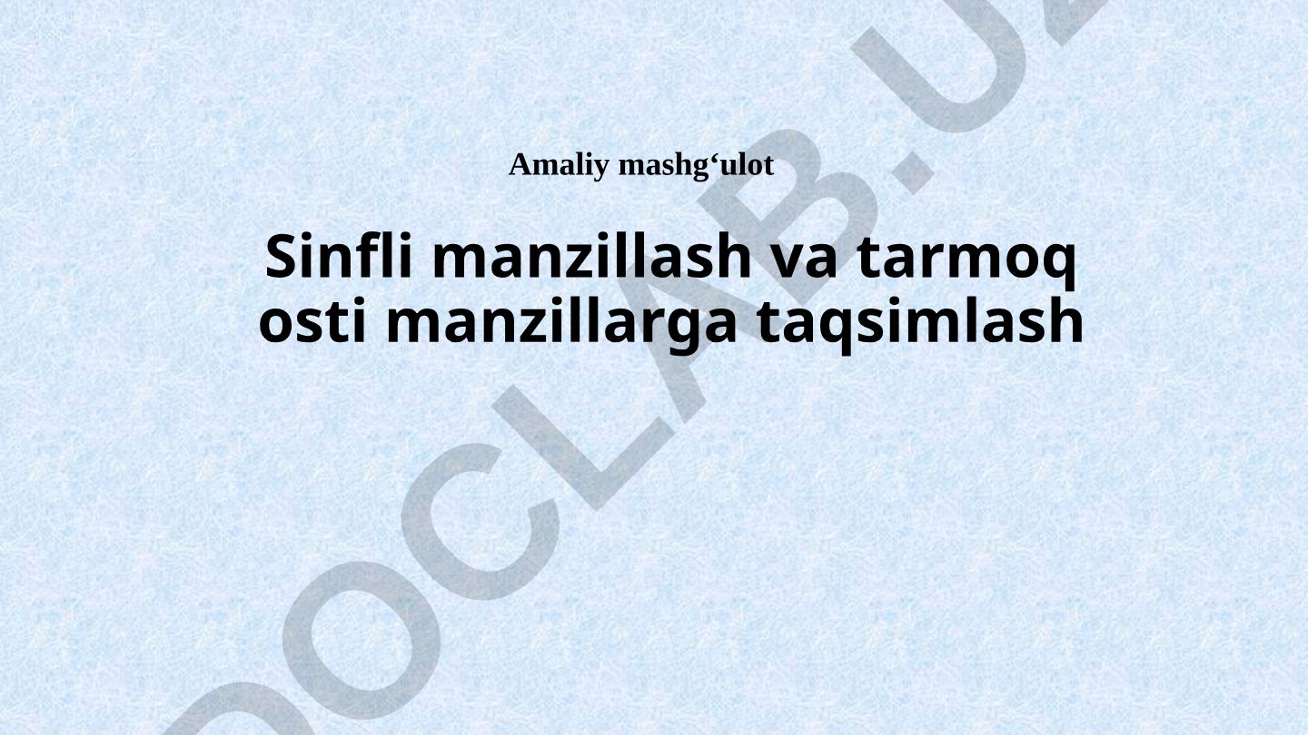 Sinfli manzillash va tarmoq osti manzillarga taqsimlash