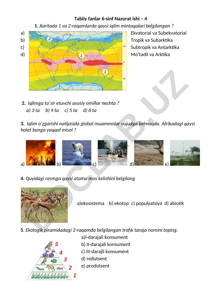 Tabiiy fanlar 6-sinf nazorat ishi – 4