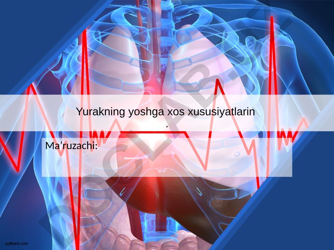 Yurakning yoshga xos xususiyatlari va yurak-tomir sistemasi
