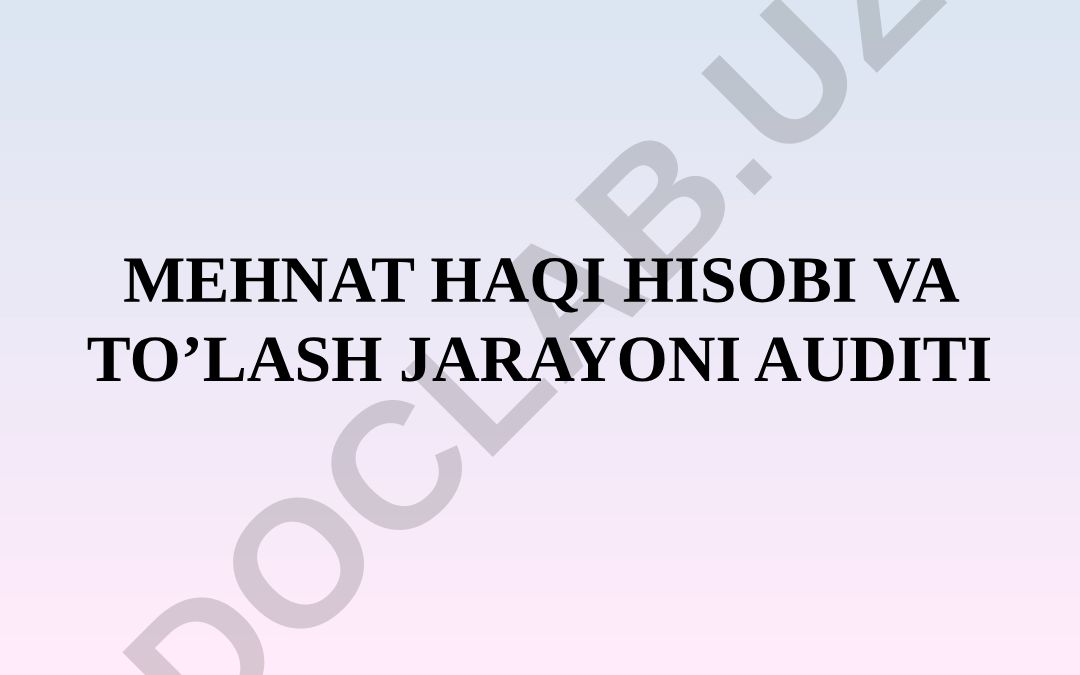 Mehnat haqi hisobi va to'lash jarayoni auditining rejasi va manbalari