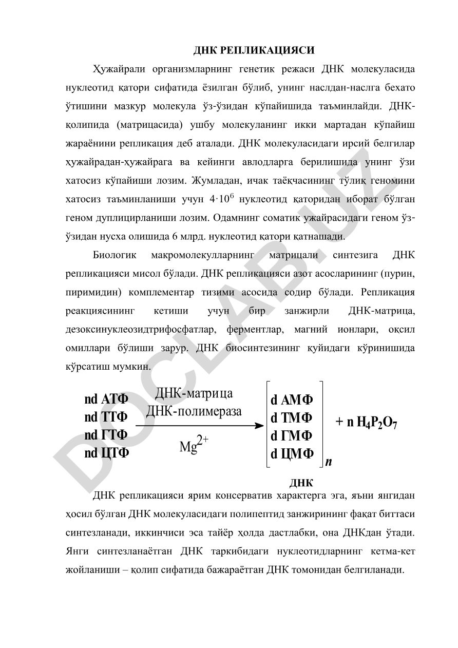 ДНК репликацияси механизми ва биологик ахамияти