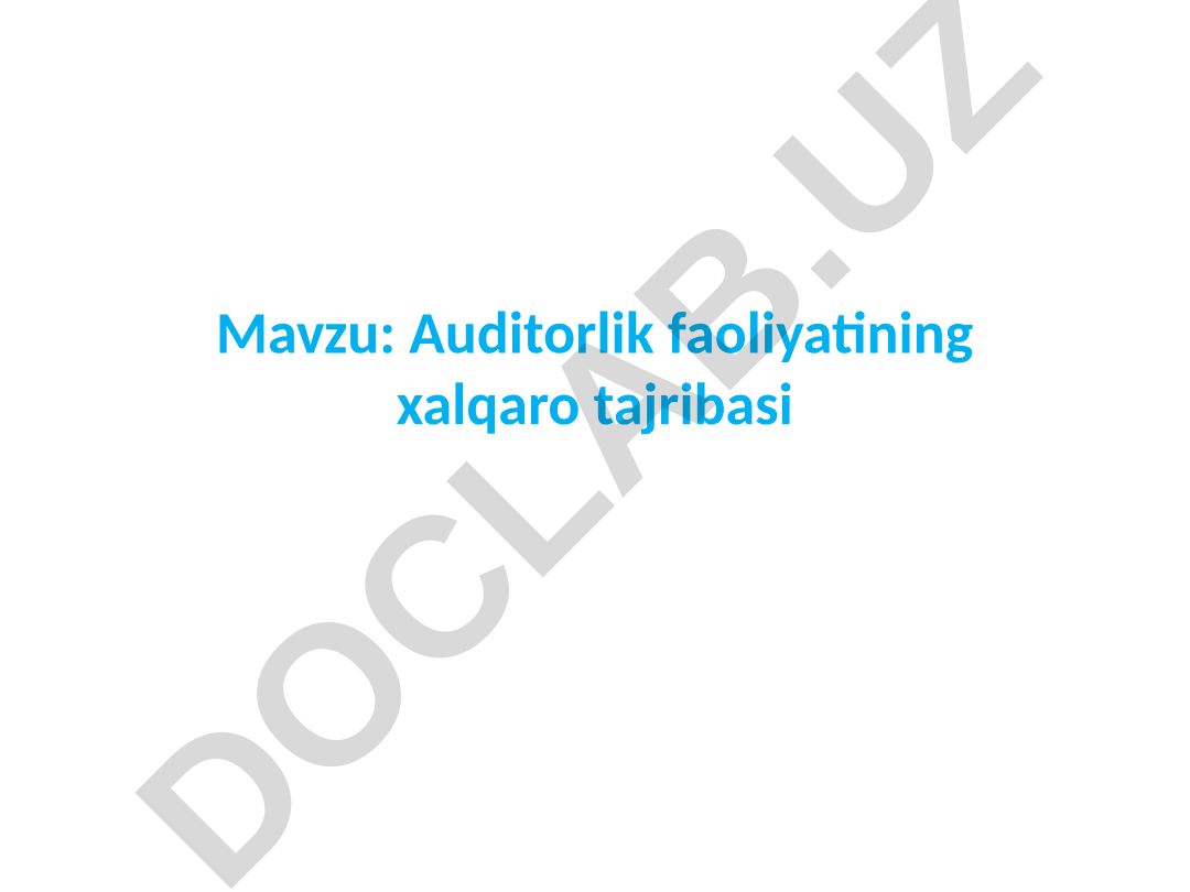 Auditorlik faoliyatining xalqaro tajribasi