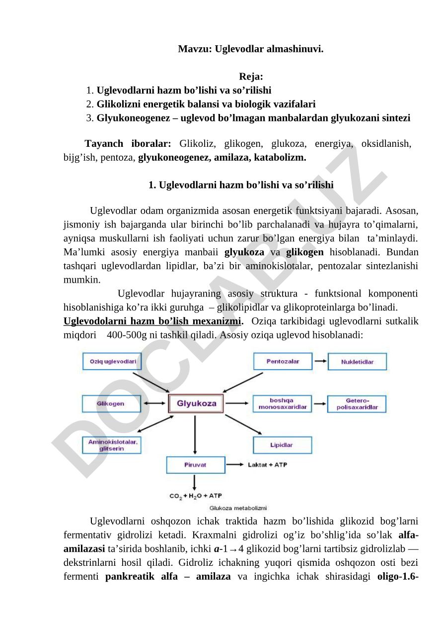 Uglevodlar almashinuvi