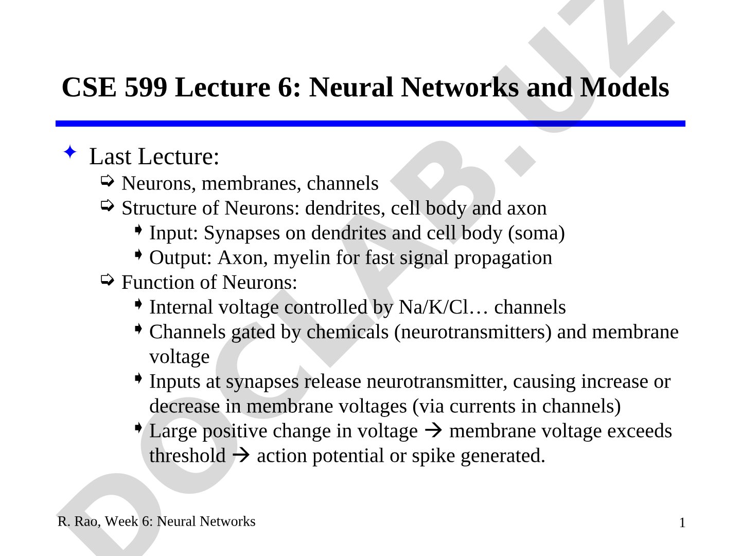 Neural Networks taqdimoti