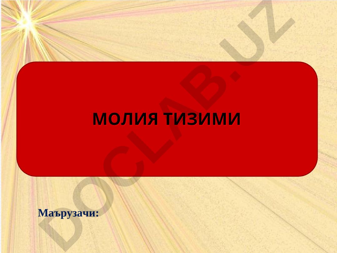 Молия тизимининг соҳалари ва бўғинлари