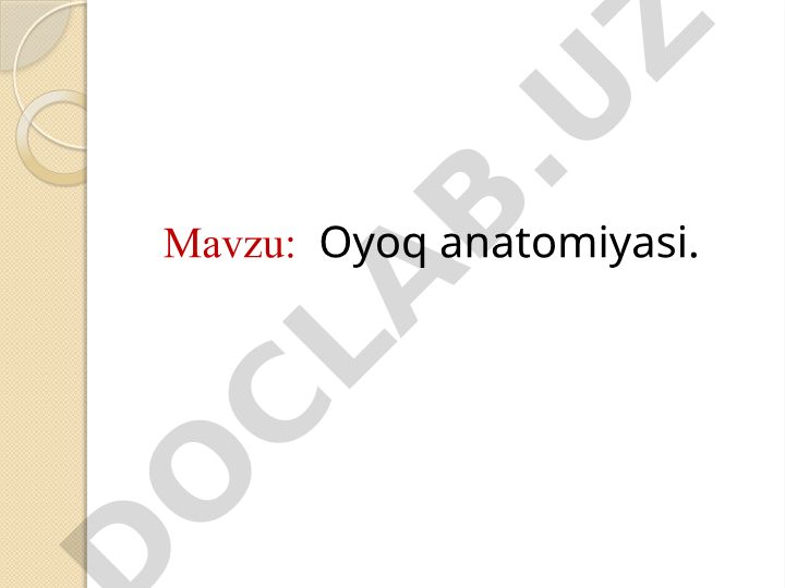Oyoq anatomiyasi