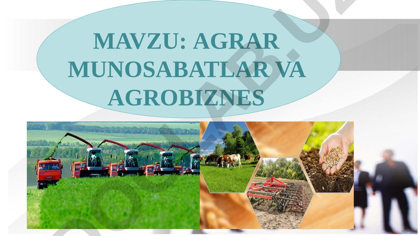 Agrar munosabatlar va agrobiznes