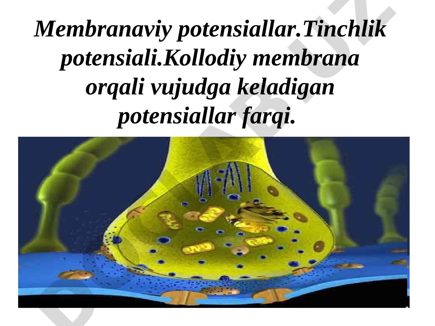 Membranaviy potensiallar va bioelektrik potensiallar kelib chiqishi