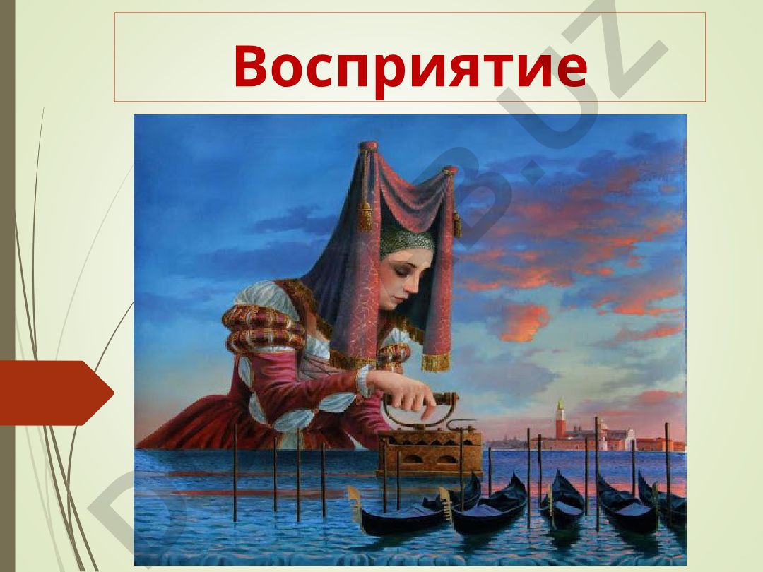 Восприятие: общая характеристика, виды и свойства