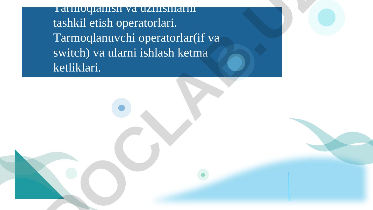 Tarmoqlanuvchi operatorlar (if va switch) va ularni ishlash ketma ketliklari