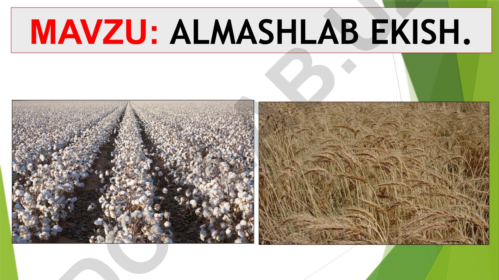 Almashlab ekishni loyihalash va joriy etish
