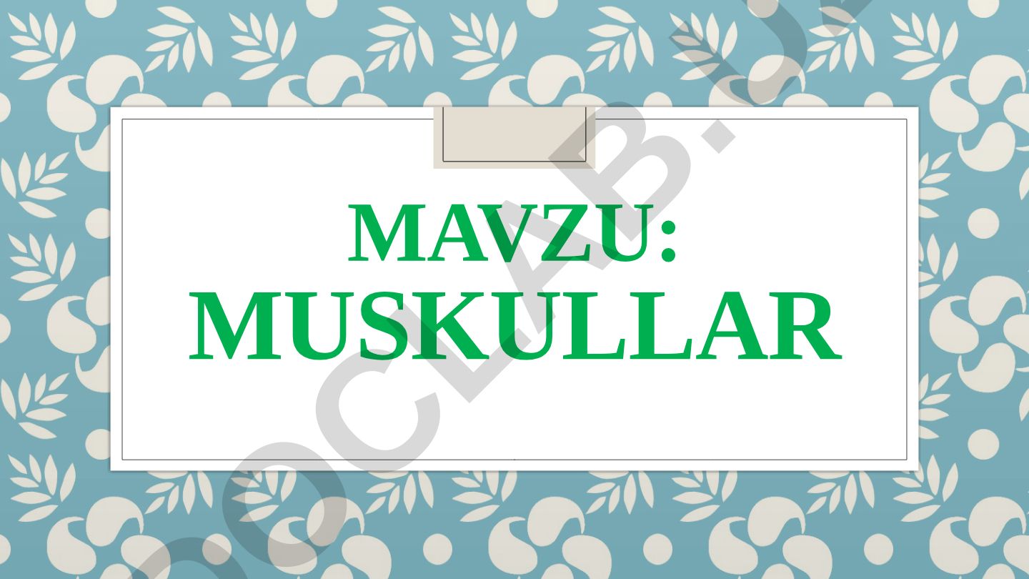 Muskullar