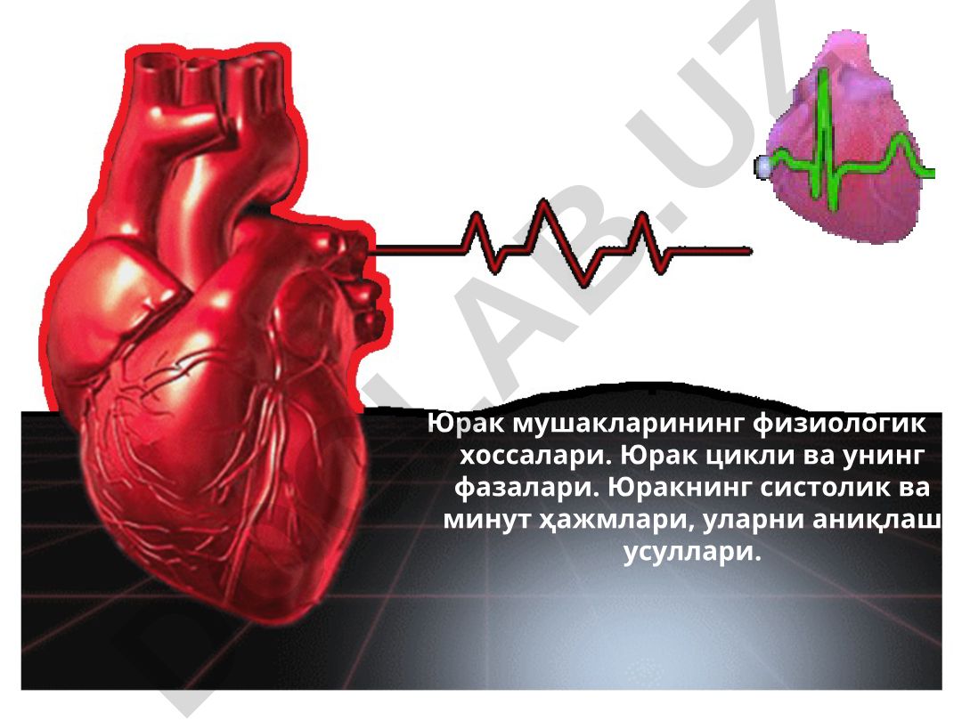 Юрак мушакларининг физиологик хоссалари ва юрак цикли фазалари
