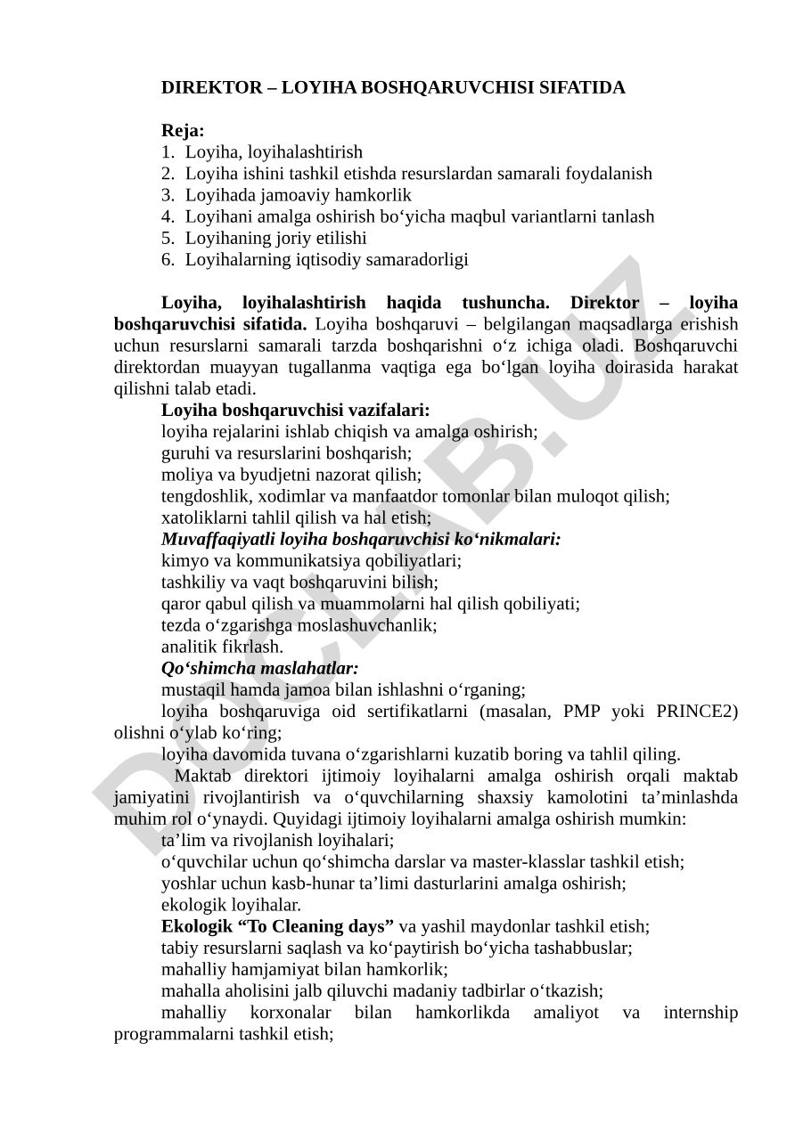 Direktor – loyiha boshqaruvchisi sifatida