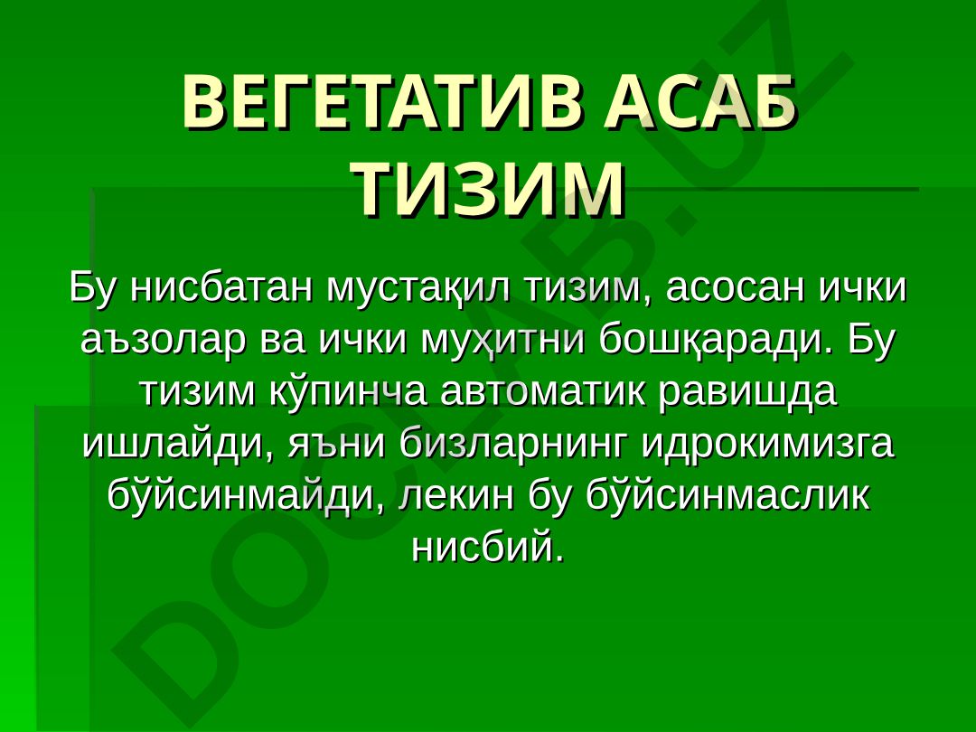 Вегетатив асаб тизими
