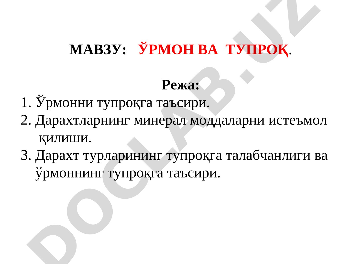 Ўрмон ва тупроқ