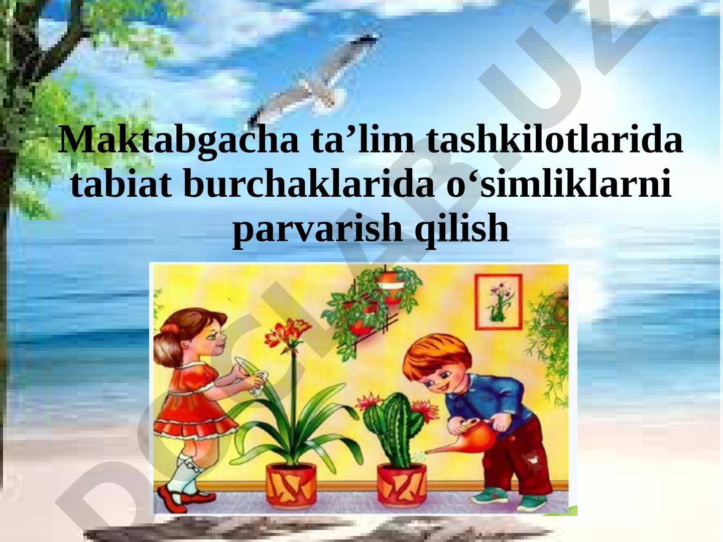 Maktabgacha ta'lim tashkilotlarida tabiat burchaklarida o'simliklarni parvarish qilish