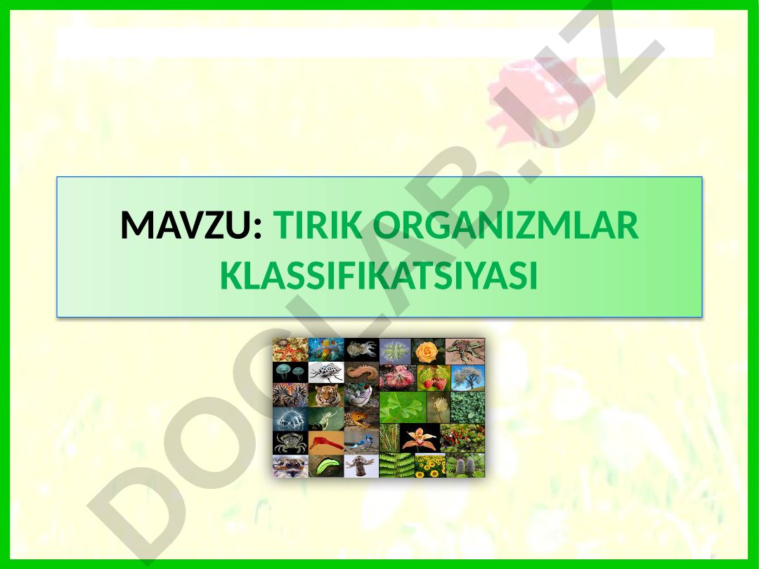 Tirik organizmlar klassifikatsiyasi