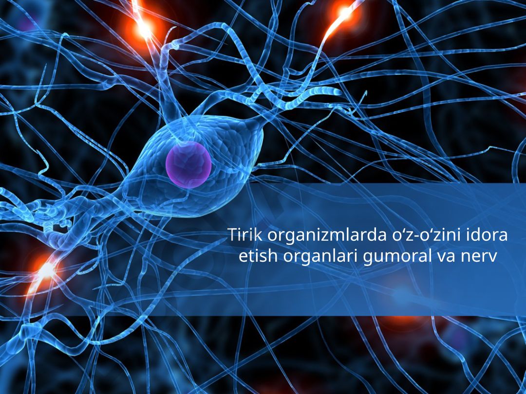 Tirik organizmlarda o'z-o'zini idora etish organlari