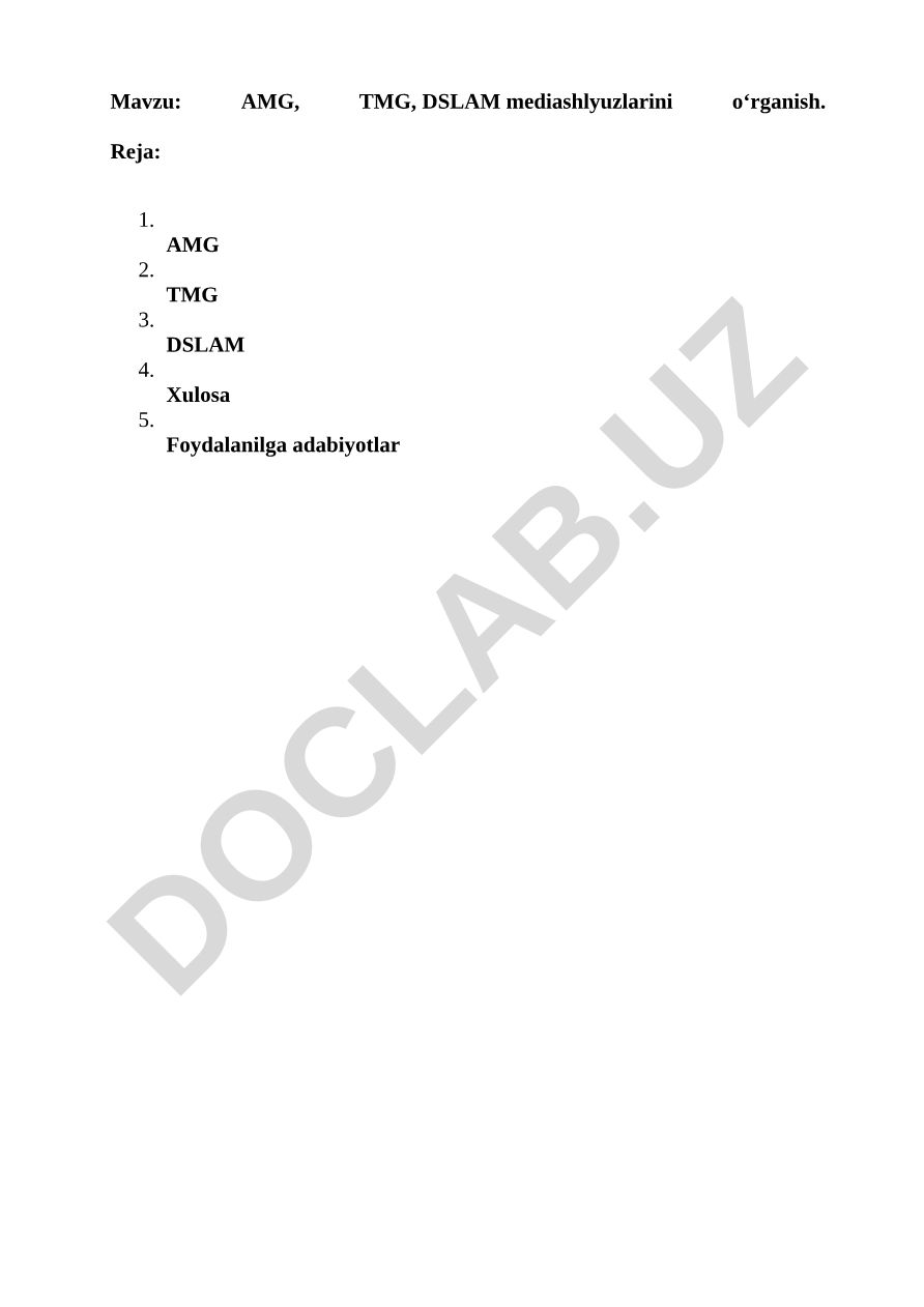 AMG, TMG, DSLAM mediashlyuzlarini o‘rganish
