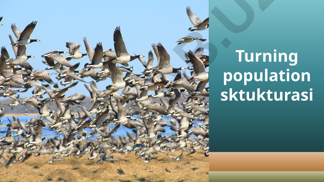 Turning populyatsiyasi tuzilishi va xususiyatlari