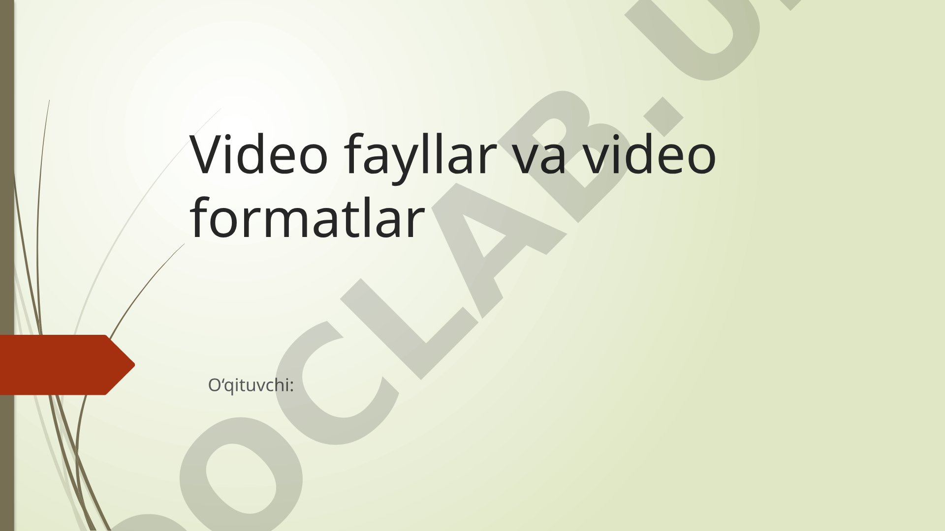 Video fayllar va video formatlar haqida