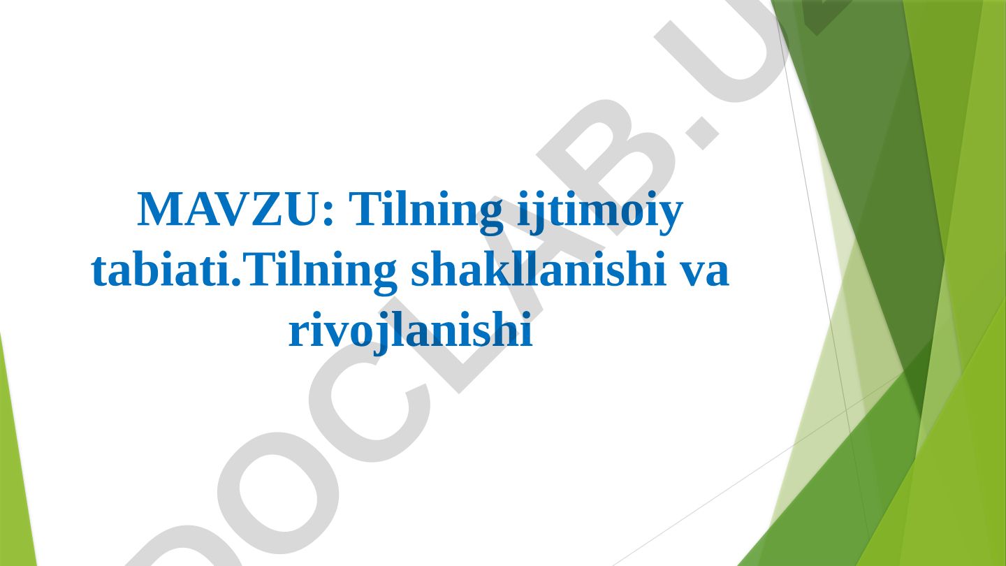 Tilning ijtimoiy tabiati. Tilning shakllanishi va rivojlanishi