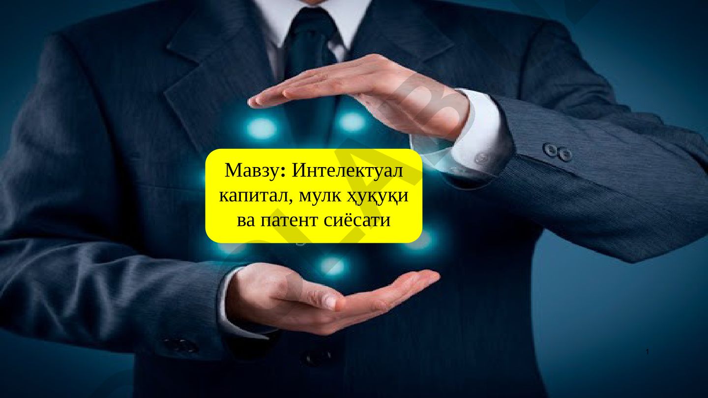 Интелектуал капитал, мулк ҳуқуқи ва патент сиёсати