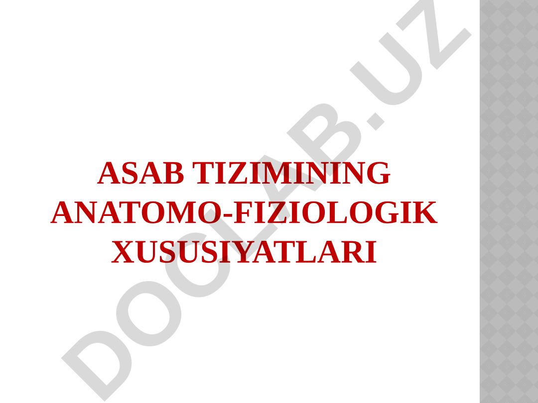 Bolalarda asab tizimining anatomik va fiziologik xususiyatlari