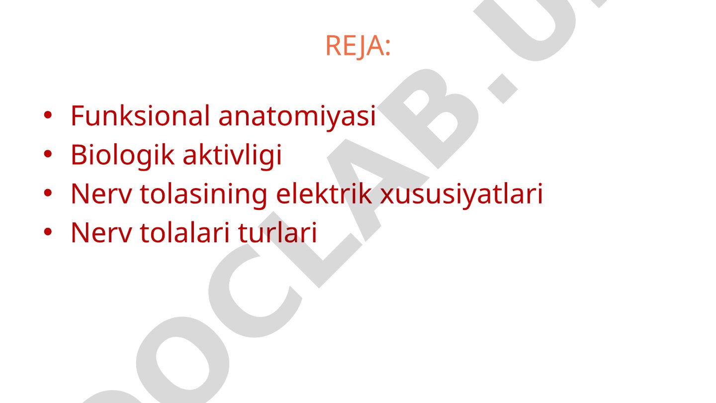 Neyronlar va glial hujayralarning tuzilishi va funksiyalari