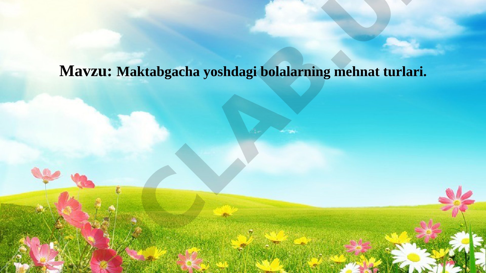 Maktabgacha yoshdagi bolalarning mehnat turlari