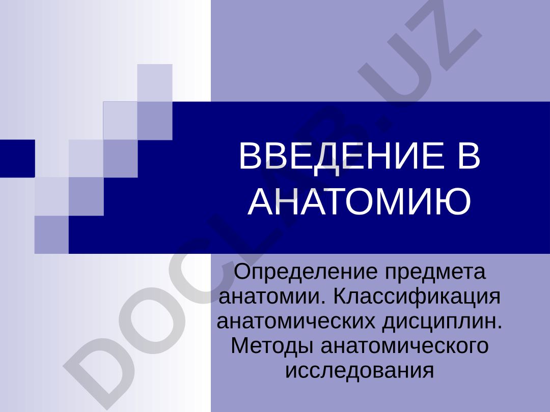 Введение в анатомию человека