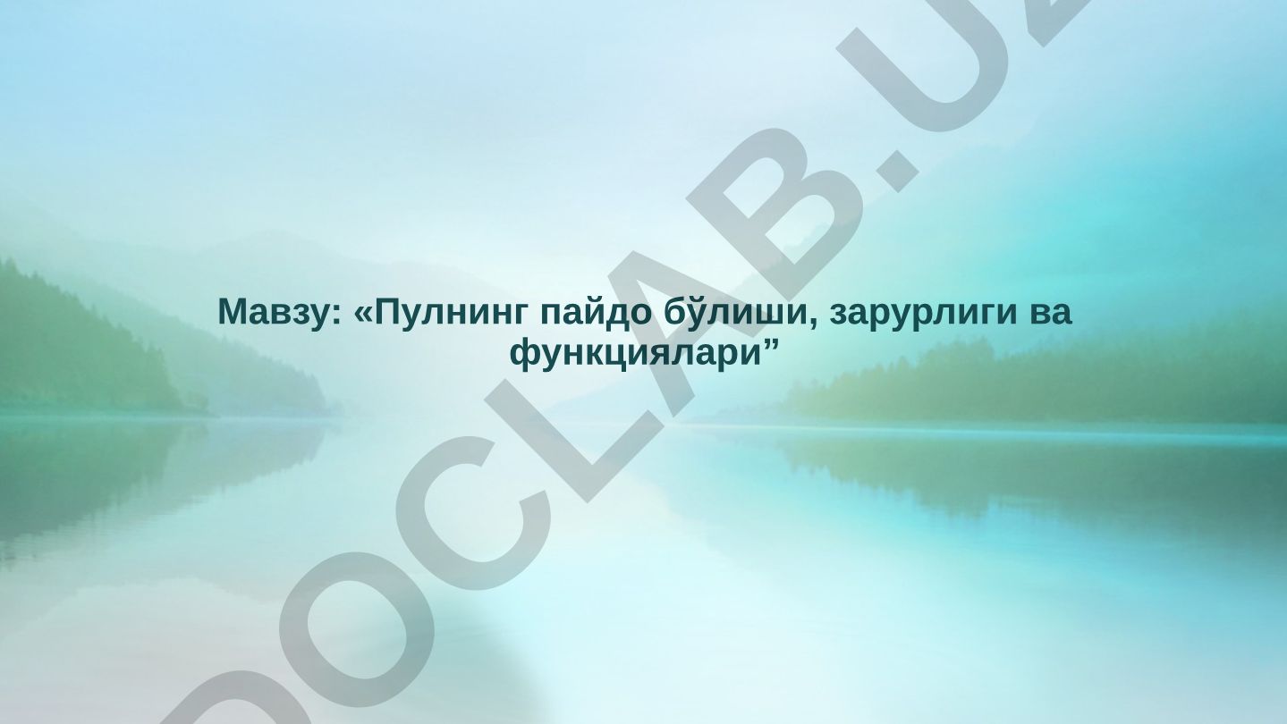Пулнинг пайдо бўлиши, зарурлиги ва функциялари