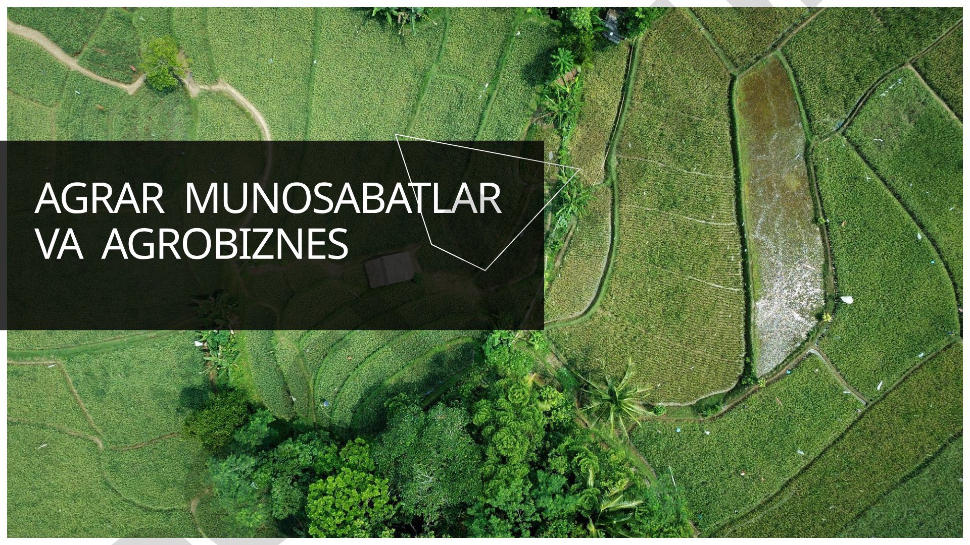 Agrar munosabatlar taqdimoti