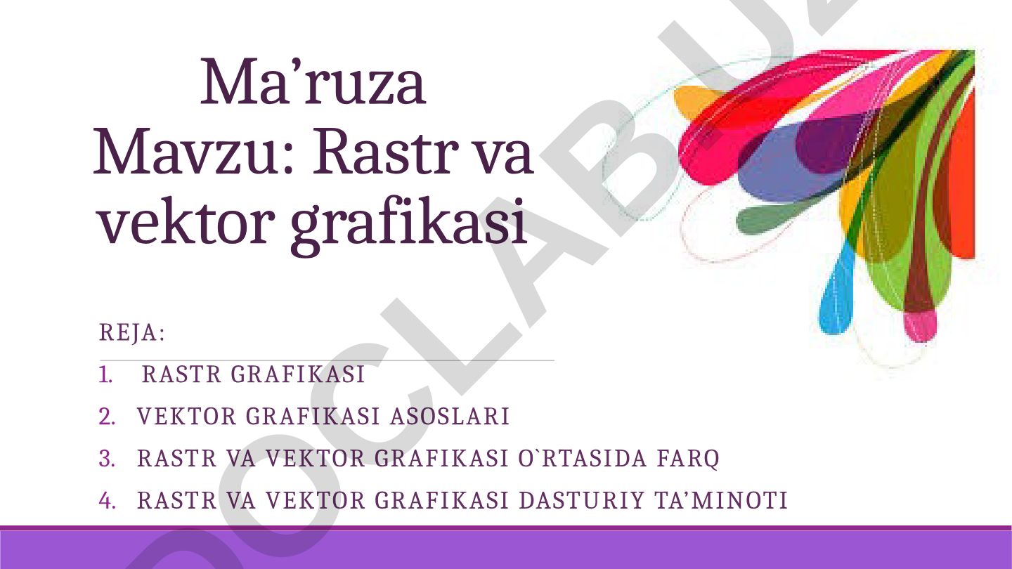 Rastr va vektor grafikasi
