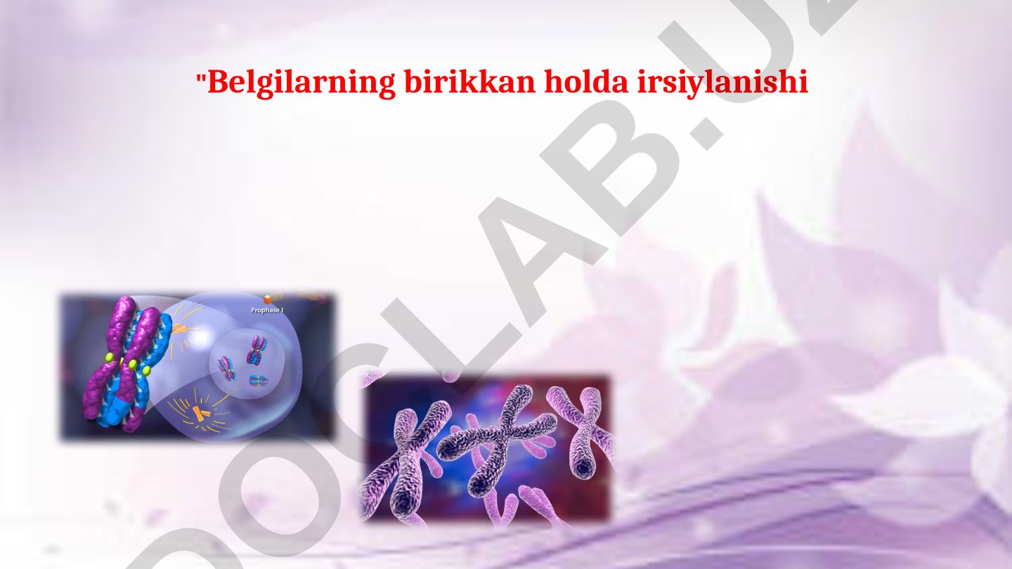 Jins belgilanishi va jinsga bog'liq irsiylash