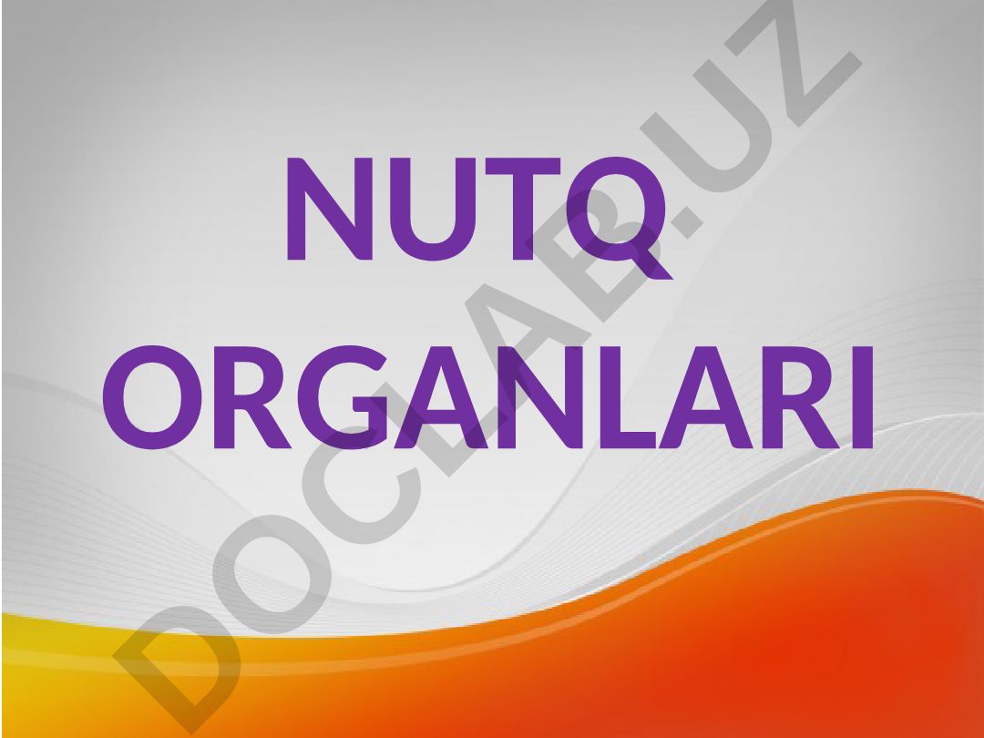 Nutq organlari va nutq apparati tuzilishi