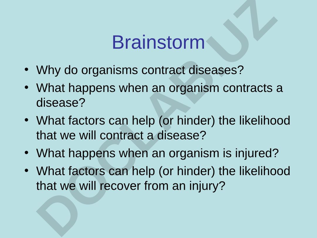 Basic Organization and Function of the Immune System