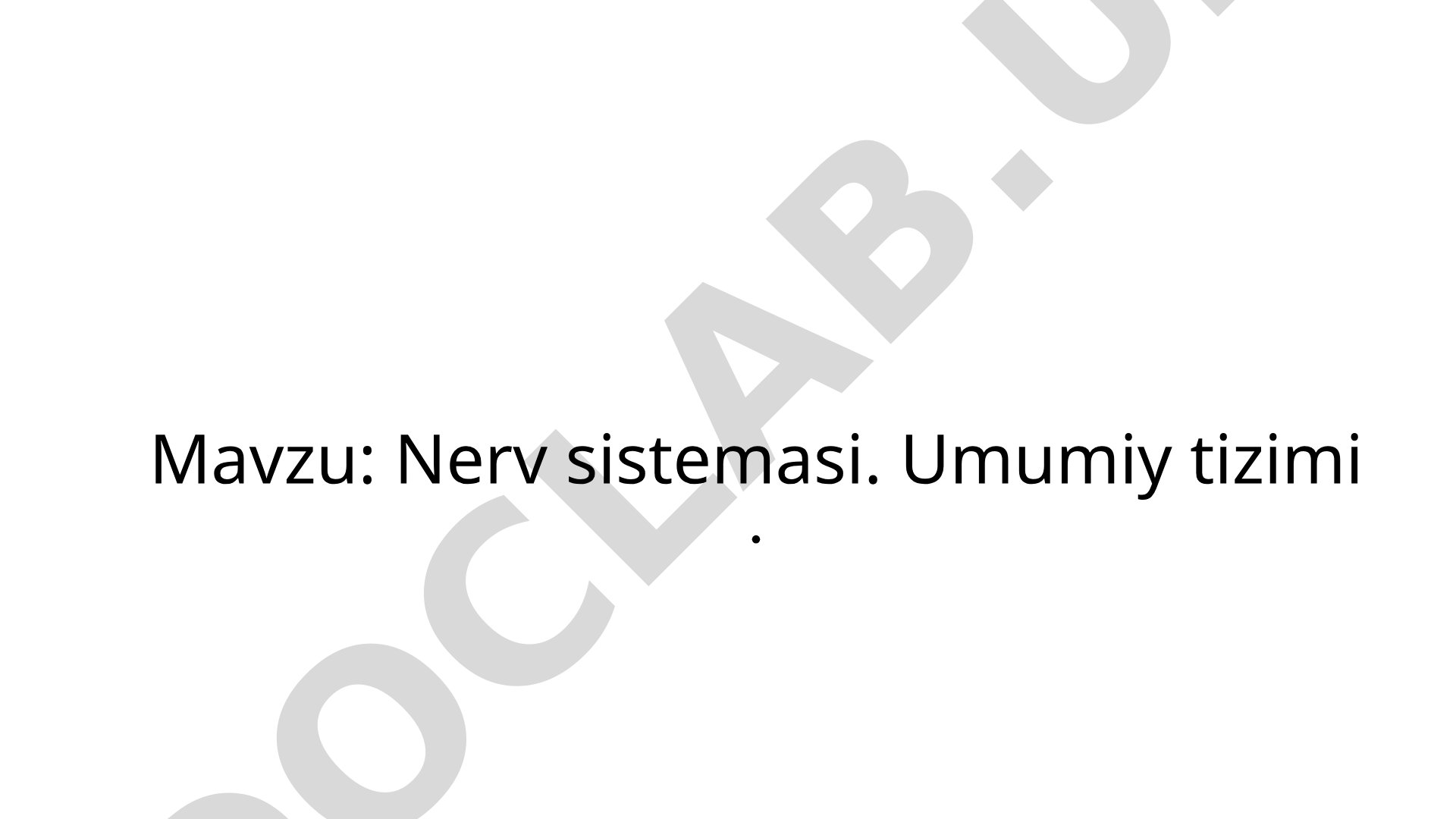 Nerv sistemasi taqdimoti