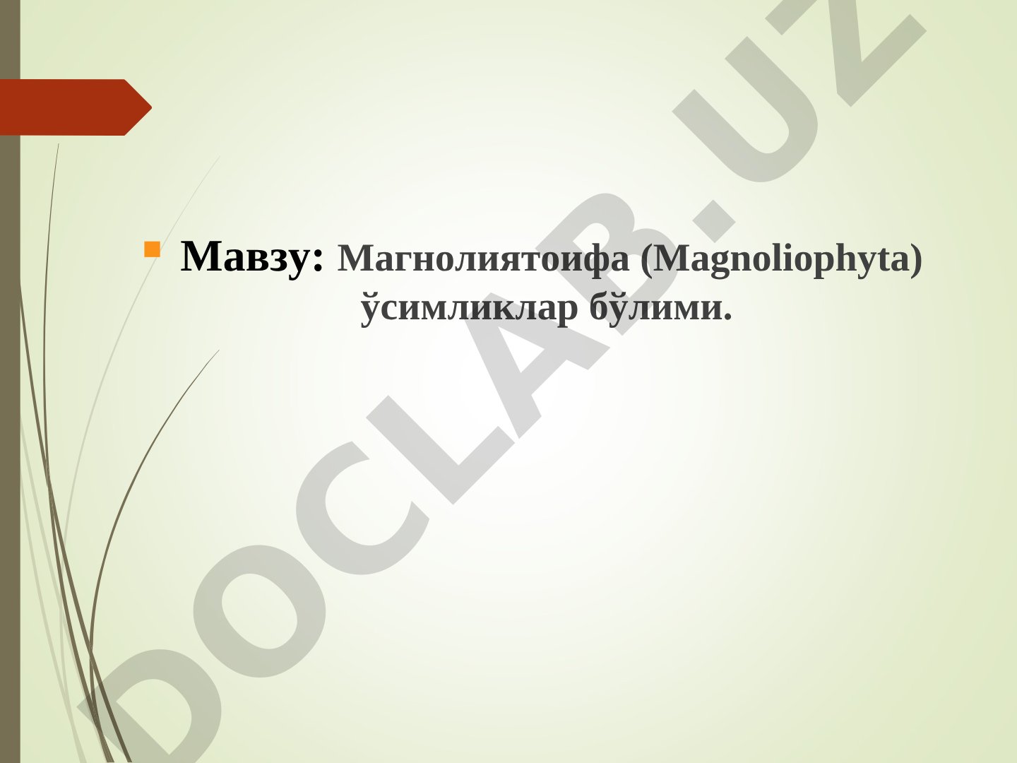 Magnoliophyta o'simliklari taqdimoti