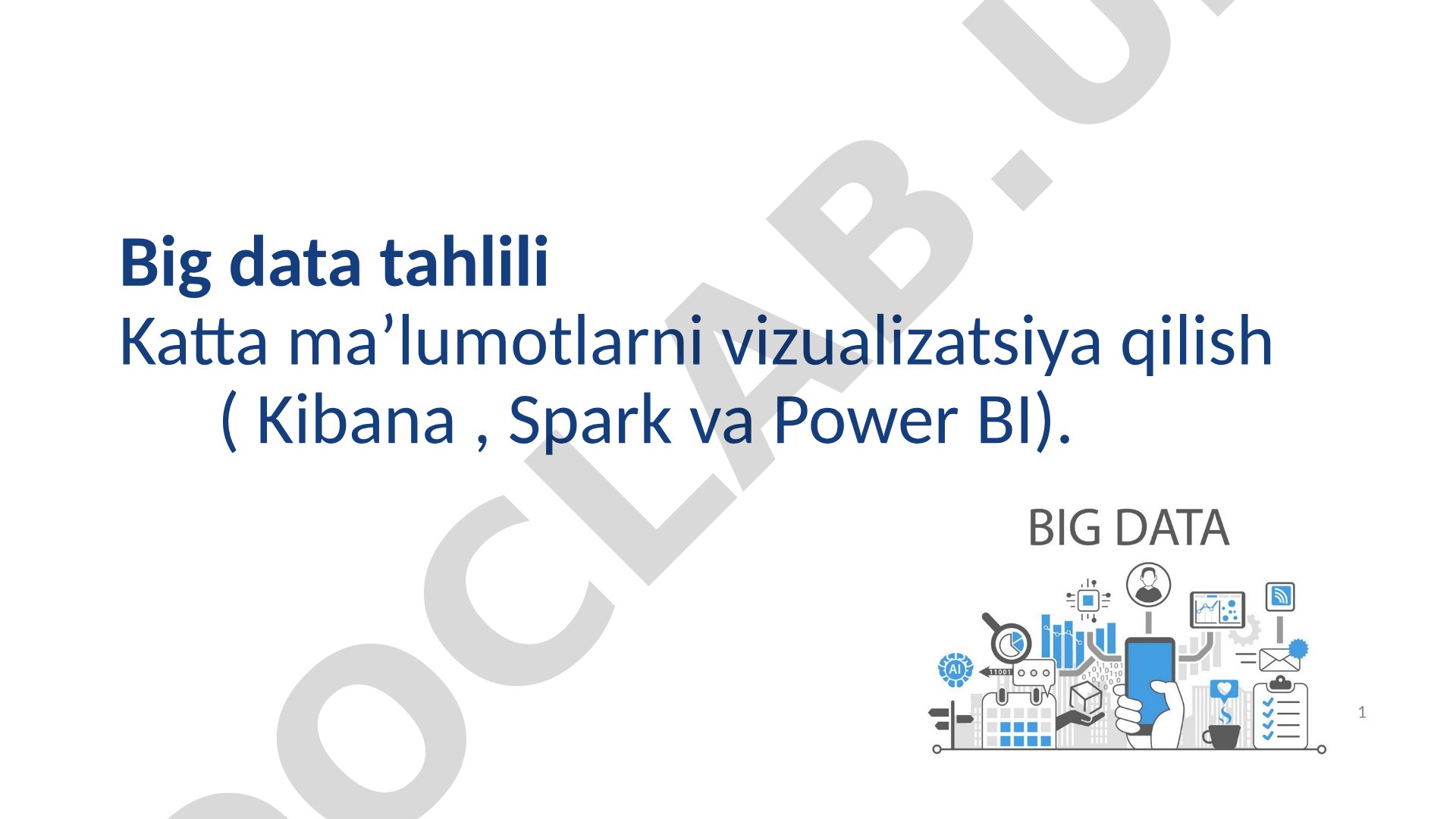 Big Data Vizualizatsiyasi Taqdimoti