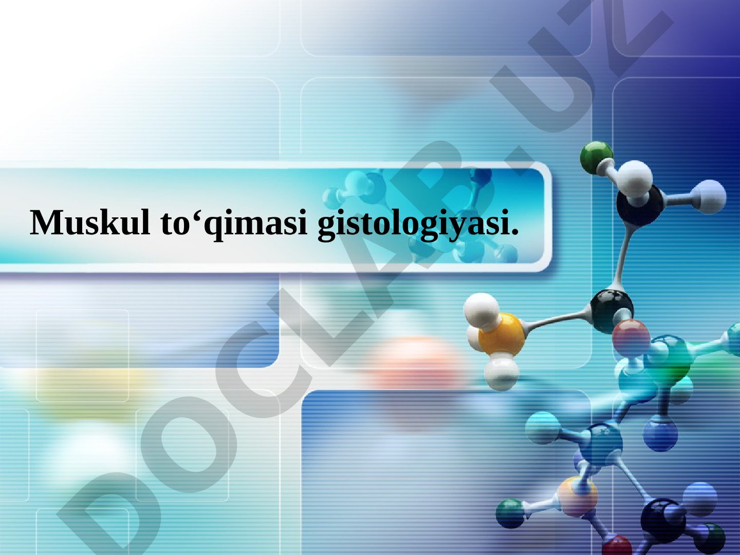 Muskul to'qimasi gistologiyasi taqdimoti