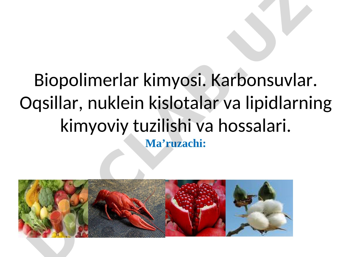 Biopolimerlar kimyosi: Karbonsuvlar, oqsillar, nuklein kislotalar va lipidlar
